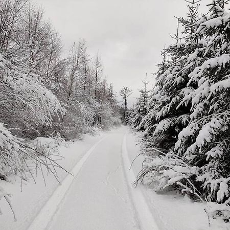 Stuga I Naturskoena Mittskane Höör Extérieur photo
